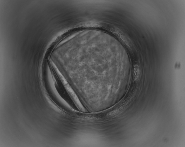 X0000089420726200707131822