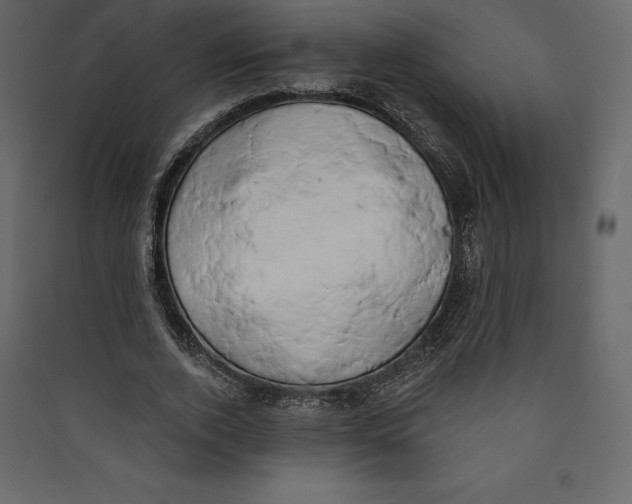 X0000089420728200707131822