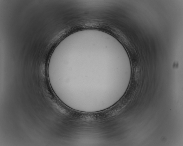 X0000089420729200707131822