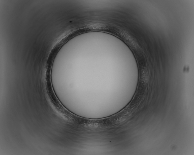 X0000089420730200707131822