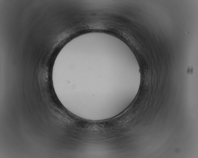 X0000089420731200707131822