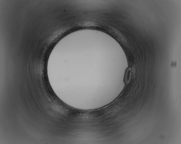 X0000089420732200707131822