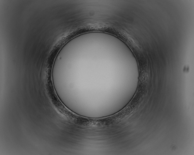 X0000089420736200707131822