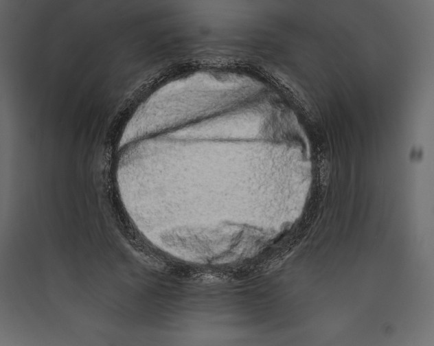 X0000089420737200707131822