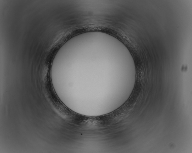 X0000089420742200707131822