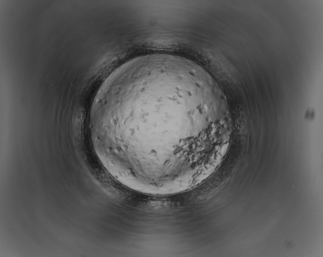 X0000089420744200707131822