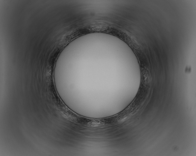 X0000089420745200707131822