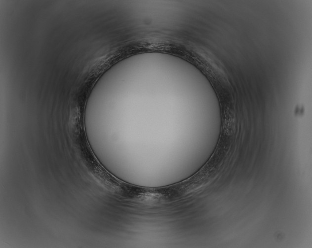 X0000089420748200707131822