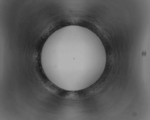 X0000089420750200707131822