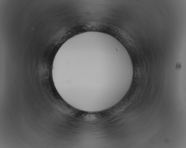 X0000089420751200707131822