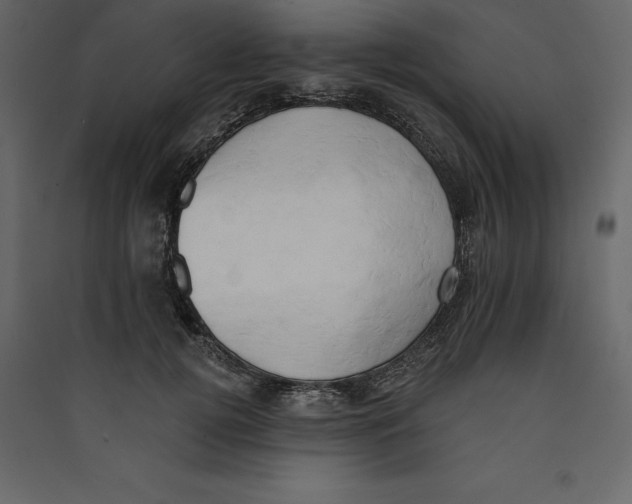 X0000089420752200707131822