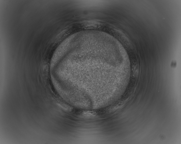 X0000089420753200707131822