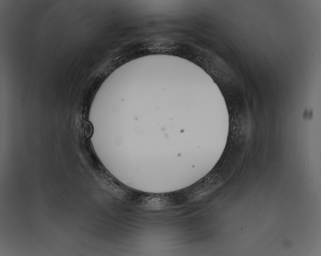 X0000089420755200707131822