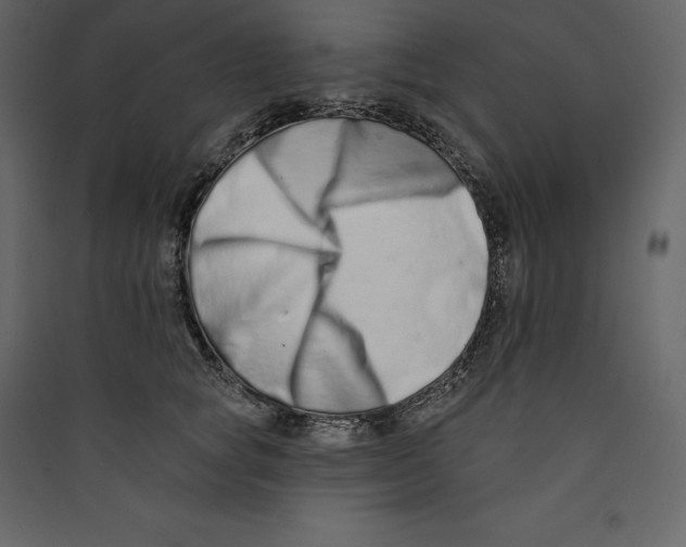 X0000089420757200707131822
