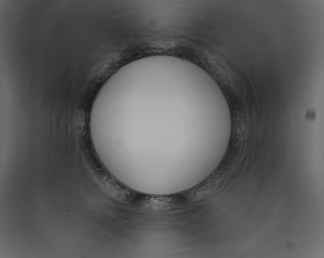 X0000089420758200707131822