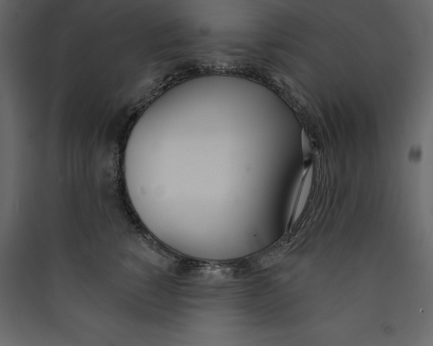 X0000089420760200707131822