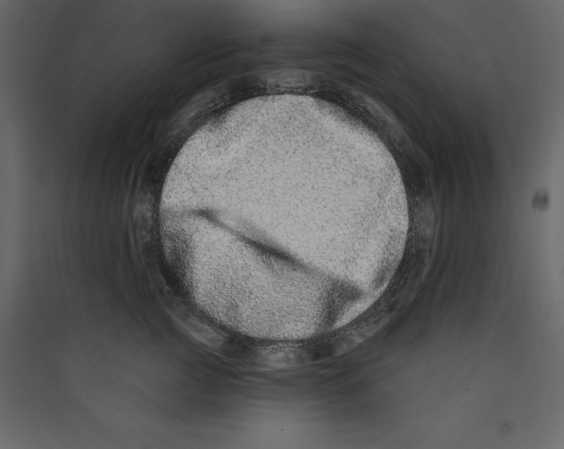 X0000089420761200707131822