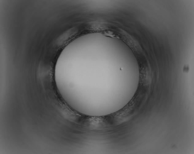X0000089420762200707131822