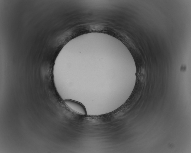 X0000089420763200707131822