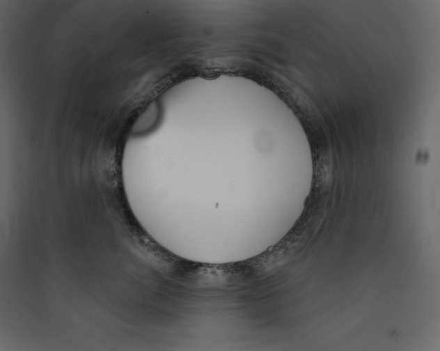 X0000089420764200707131822