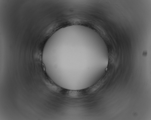 X0000089420766200707131822