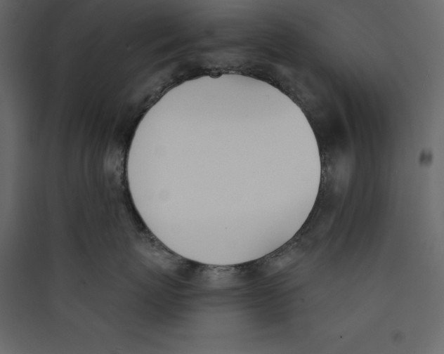 X0000089420767200707131822