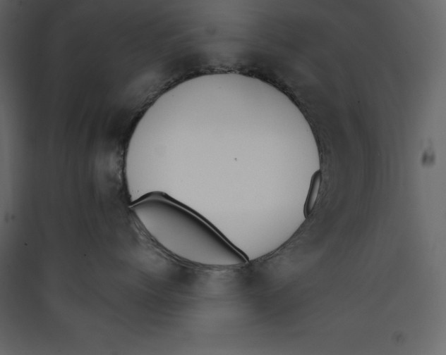 X0000089420768200707131822