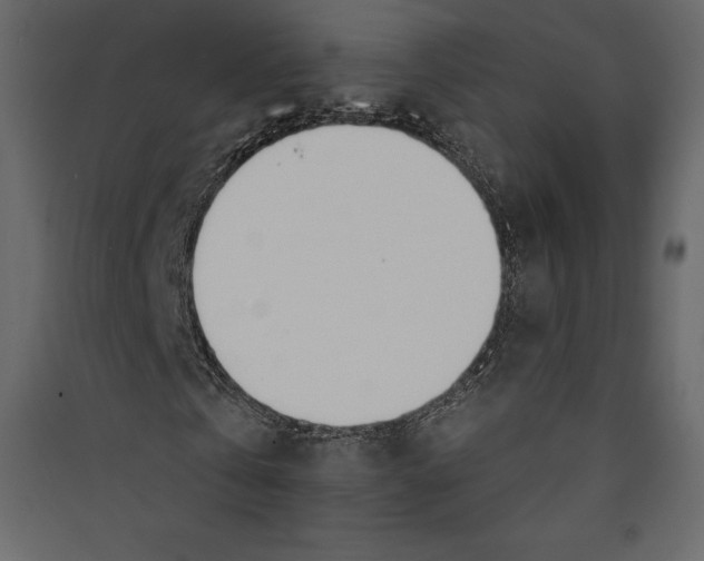 X0000089420769200707131821