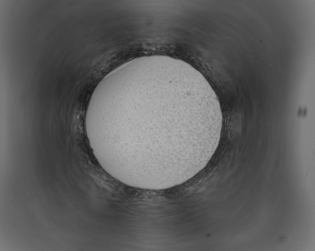 X0000089420770200707131821