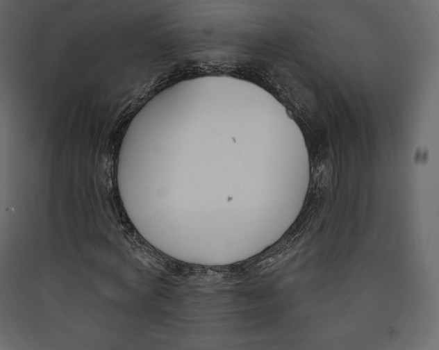 X0000089420772200707131821