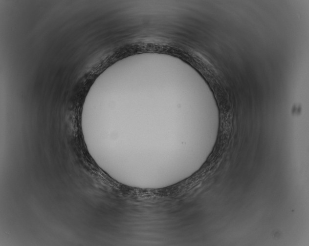 X0000089420774200707131821