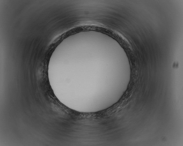 X0000089420775200707131821