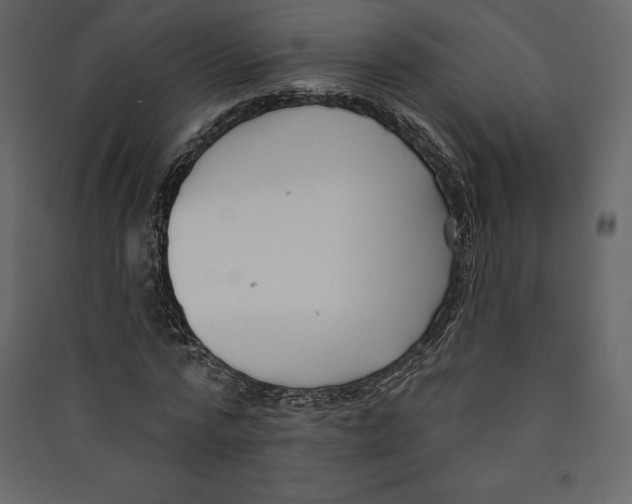 X0000089420776200707131821