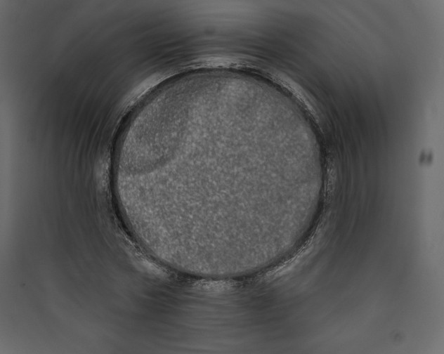 X0000089420778200707131821