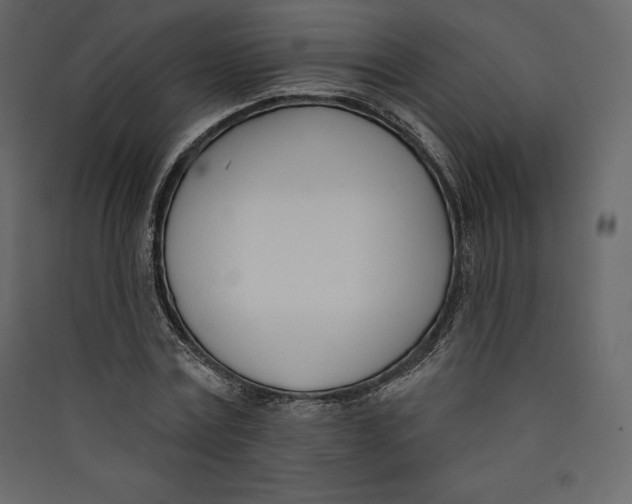 X0000089420779200707131821