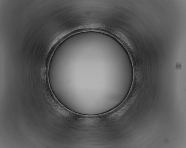 X0000089420781200707131821