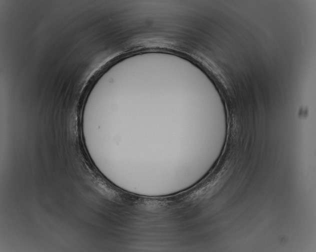 X0000089420782200707131821