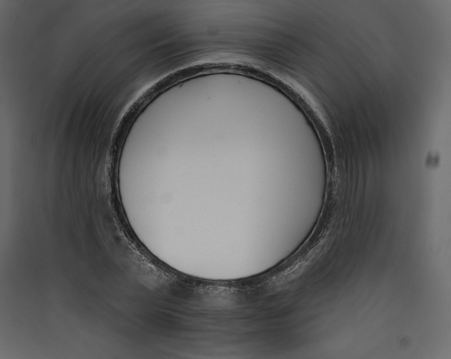 X0000089420783200707131821