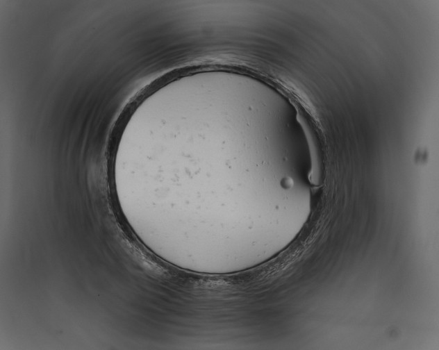X0000089420784200707131821