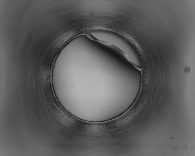 X0000089420785200707131821