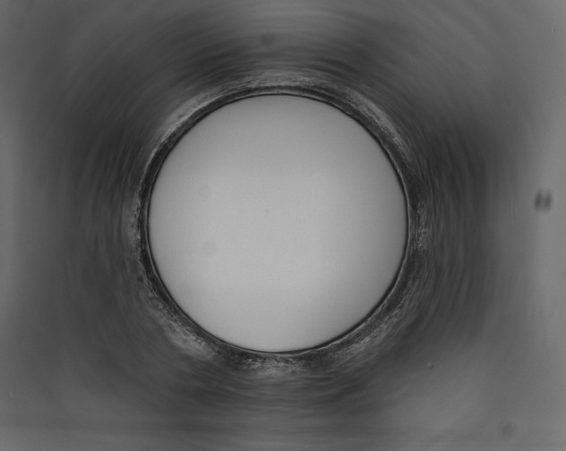 X0000089420786200707131821