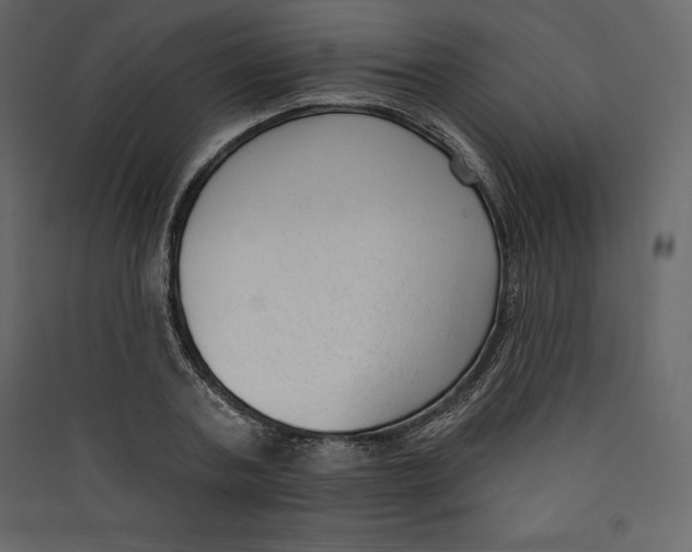 X0000089420787200707131821