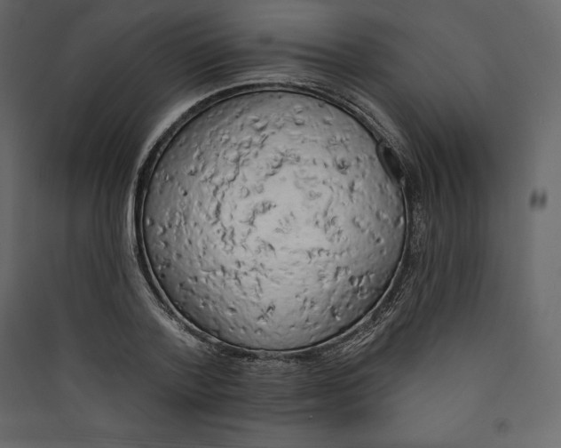 X0000089420788200707131821
