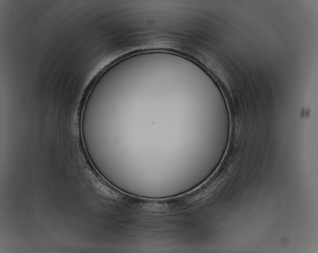 X0000089420789200707131821