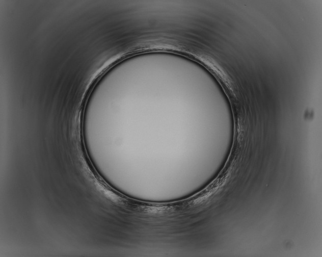 X0000089420790200707131821
