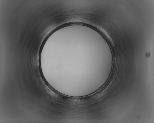 X0000089420791200707131821