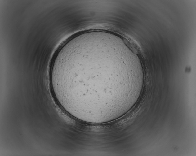 X0000089420792200707131821
