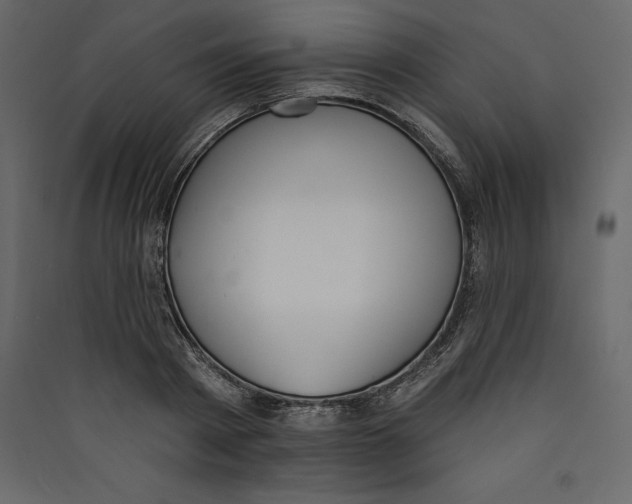 X0000089420793200707131821
