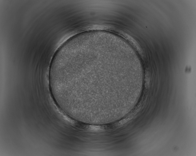 X0000089420794200707131821