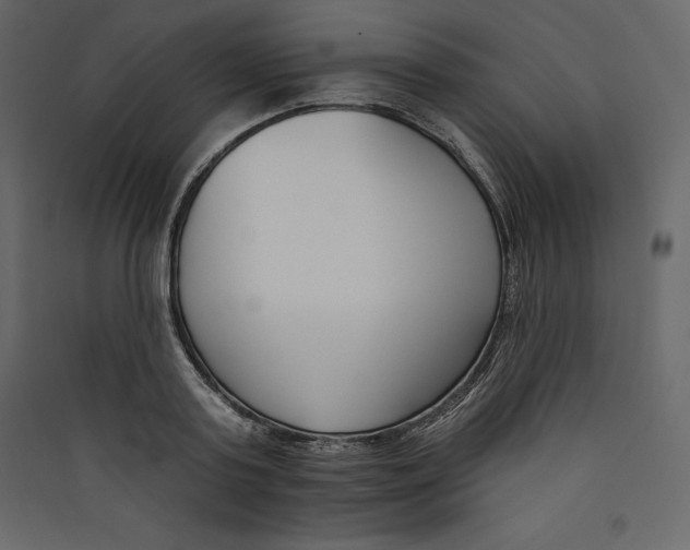 X0000089420795200707131821